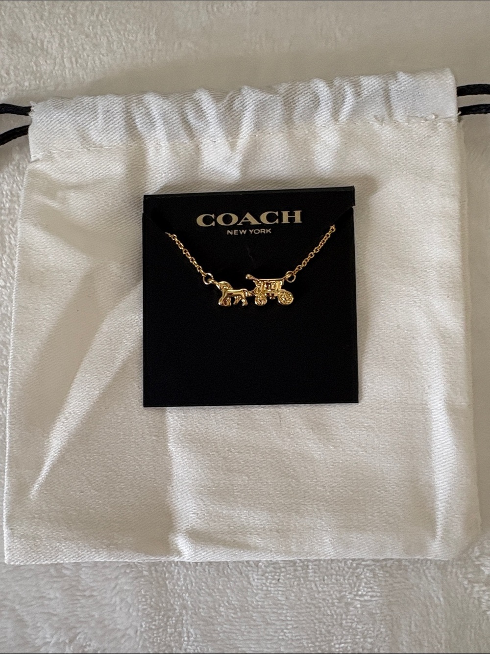 Coach Necklace